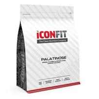 Palatinose Isomaltulose Slow - Release Energy Source Izomaltuliozė, 1kg