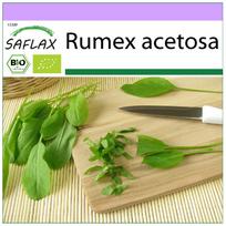 SAFLAX Ekologiški – prancūziškos rūgštynės – 400 sėklų – Rumex acetosa