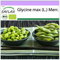 SAFLAX - Ekologiški - Pupelės - Edamame - 8 sėklos - Glycine