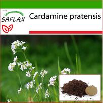 SAFLAX - Pievinė našlaitė - 100 sėklų - Su sodinimo substratu geresniam auginimui - Cardamine pratensis