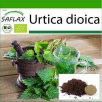 SAFLAX - Ekologiški - Dilgėlė - 2000 sėklų - Su sodinimo substratu geresniam auginimui - Urtica dioica