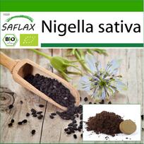 SAFLAX Ekologiški – Juodieji kmynai – 300 sėklų – Su vazoniniu substratu geresniam auginimui – Nigella sativa