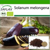 SAFLAX – Ekologiški – Baklažanai – Ilgai violetinė – 20 sėklų – Su vazoniniu substratu geresniam auginimui – Solanum melongena