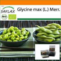 SAFLAX Sodas maiše - Ekologiškas - Edamame - 8 sėklos - Su substratu tinkamame stovimame maišelyje - Glicinas