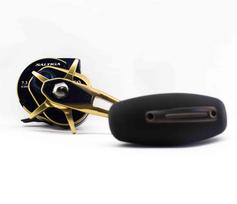 Daiwa Ritė Baitcast 21 Saltiga IC 300H-SJ Dešinės rankos (4725) black