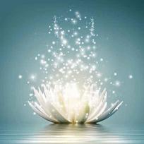 Diy Diamond Embroidery White Lotus Diamond Painting Round Mosaic Decoration Home Decoration Gift 30X30CM gray