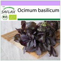 SAFLAX Ekologiškas – Bazilikas Raudonasis – 400 sėklų – Ocimum basilicum