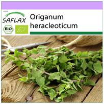 SAFLAX - Ekologiškas - Raudonėlis - 1500 sėklų - Origanum heracleoticum