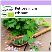 SAFLAX Ekologiškas - Paprastalapis petražolės - 600 sėklų - Petroselinum crispum