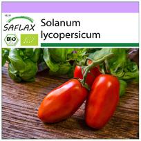 SAFLAX - Ekologiškas - Pomidoras - San Marzano - 15 sėklų - Solanum lycopersicum