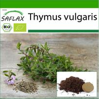SAFLAX – Ekologiški – Čiobreliai – 800 sėklų – Su vazoniniu substratu geresniam auginimui – Thymus vulgaris