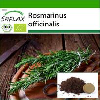SAFLAX - Organic - Rosemary - 40 seeds - With potting substrate for better cultivation - Rosmarinus officinalis