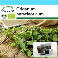 SAFLAX - Gift Set - Organic - Oregano - 1500 seeds - With gift box, card, label and potting substrate - Origanum heracleoticum