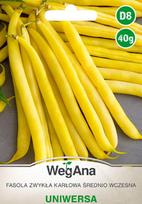 Uniwersa paprastosios nykštukinės pupelės 40g pupelių sėklos - WegAna