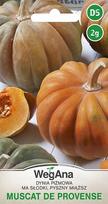 Butternut skvošas Muscat de Provence 2g moliūgų sėklos - WegAna