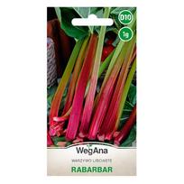 Rhubarb Glaskins Perpetual seeds 1g rabarbarų sėklos - WegAna