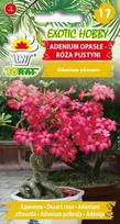 Adenium Lethargic Desert rose 5 vnt. medžių sėklos