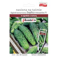 Soplica maltos agurkų sėklos ant daržovių juostos sodui 5m