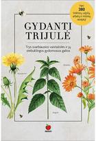 Gydanti trijulė. E.knyga - Dainora Krasavičiūtė