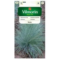 PILKOJI eraičinai 0,4g sėklos - VILMORIN