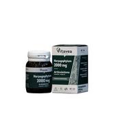 Maisto papildas Vitavea Gulsčiojo inkaruočio ekstraktas 2000 mg, 40 kaps.