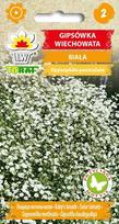 Baltosios gipsofilinės paniculate gėlių sėklos sodui, didelis derlius