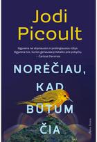 Norėčiau, kad būtum čia. E.knyga - Jodi Picoult