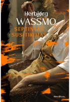 Septintas susitikimas. E.knyga - Herbjørg Wassmo