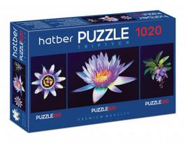 *Puzlė HATBER-HD Premium, А2, 260+500+260 dalių, Gėlės