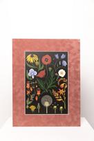 Botaninis printas „Gėlių žiedai"