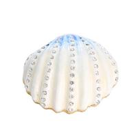 „Crystal Shell“ metalo papuošalų dėžutė, papuošalų dėžutė, karoliai, auskarai, karoliukų dėžutė, maža vestuvių dekoro dovana vakarėliui balta