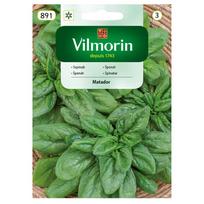 Špinatų Matador sėklos 20g - VILMORIN