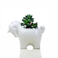 Cartoon Unicorn Ceramic Flower Pot Succulent Pot Planter Desktop Ornaments Art Vase Home Decoration Plant Pot Gardening Pot 1Piece white