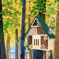 „Bee Hotel“ apdulkina pjuvenas, atspari oro sąlygoms – drugelių drugelių buveinė kiemo sodui