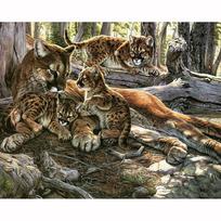 Diamond Painting Wild Cat Family Landscape Round 5D Diamond Embroidery Cross Stitch Diamond Wall Painting Holiday Gift Full Round 20x30CM