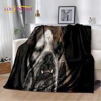 Animacinis prancūzų pitbulio šuo augintinis minkštas pliušinis pledas, flanelinis pledas metamas pledas svetainei miegamojo lovai sofai piknikui danga 75x100cm (30x40inch) gray