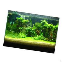 3D akvariumo universalus kraštovaizdžio plakatas, vienpusis žuvies fonas, 61x30 cm