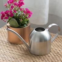 1000ML Nerūdijančio Plieno Laistytuvas Kambariniai Augalai Ilgas Snapelis Gėlė Bonsai Sukulentai Vazonas auksinė