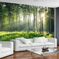 Gamta Peizažas Sienų Freskos 3d Žalias Miškas Tapetai Svetainei Miegamajam Modernios Sienų Freskos Namų Dekoravimas 200 cm(W) x 140 cm(H)