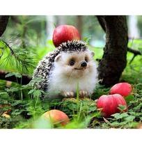 Visas 5D „pasidaryk pats“ deimantinis piešimas animacinis filmas „Little Hedgehog“ siuvinėjimas kryželiu namų dekoras, rankų darbo 25x30cm