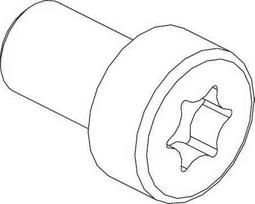 CUBIC Cilindrų varžtai Torx 2D21C