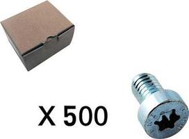 CUBIC 500 vnt. Cilindrinis varžtas, torx, plokščia galvute