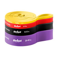 Latekso mankštos juostų rinkinys - Power Band PLs-2, 4-45 kg, 4 juostos, REBEL ACTIVE