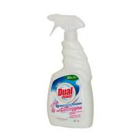 DUAL POWER  Purskiamas putos pavirsiams valyti su chloru, 750 ml