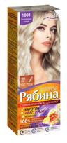 Kreminiai plaukų dažai Acme Color Rebina Nr. 1001