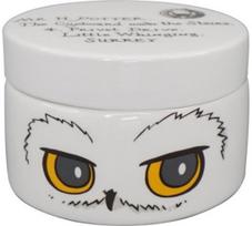 Keramikinė dėžutė HARRY POTTER HEDWIG