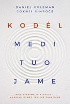 Kodėl medituojame