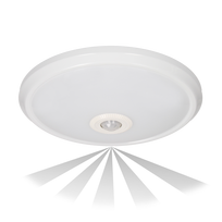 Visuomeninis šviestuvas SPECTOR LIGHT, IP20, 12W, 850lm, su judesio davikliu, 360°,29x6cm
