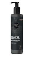 Šampūnas ORGANIC SHOP visų tipų plaukam Blackwood/Mint, 280 ml