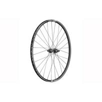Ratas galinis 29" DT Swiss XR1700 Spline
